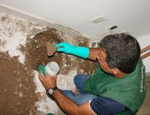 Técnicos do IMA realizam coletas na casa