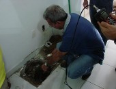 Técnicos do IMA realizam coletas na casa