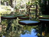 O Jardim Botânico é considerado um dos principais pontos turísticos do Rio