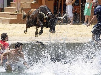 Touros e foliões se jogam no mar em festival na Espanha