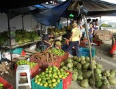 Feira Itinerante da CPT