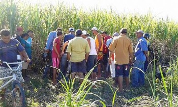 Menores são perseguidos e baleados em canavial na AL 420