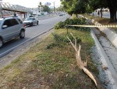 Veículo capota em canteiro na Durval de Góes Monteiro