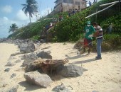 O filhote foi encontrado morto em Jequiá da Praia