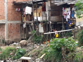 Barraco em favela da Zona Oeste do Rio: especialistas dizem queé preciso ampliar ainda mais os programas de proteção social mantidos pelo governo federal