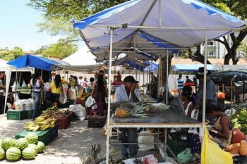 Feira Camponesa tem início nesta quarta