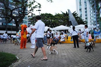 Cãominhada faz alerta contra maus-tratos de animais