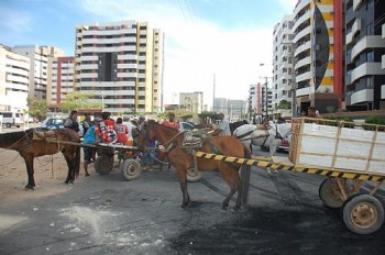 Carroceiros atearam fogo à pneus para chamar a atenção dos órgãos competentes