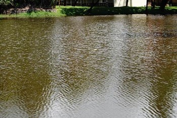 Mortandade de peixes em Rio Largo