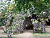 Parque memorial precisa ser revitalizado