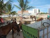 Carroceiros bloqueiam rua em protesto contra fechamento de centrais de entulhos