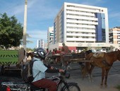 Protesto de carroceiros interdita rua no Stella Maris