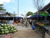 Feira da reforma agrária pretende comercializar 120 toneladas de alimentos