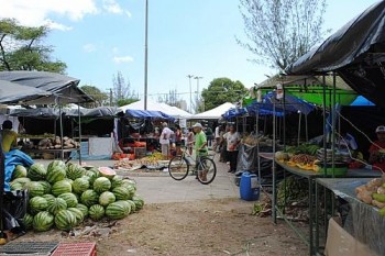 Feira da reforma agrária pretende comercializar 120 toneladas de alimentos