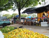 Feira da reforma agrária pretende comercializar 120 toneladas de alimentos