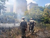 Bombeiros contiveram incêndio que se alastrou para vegetação