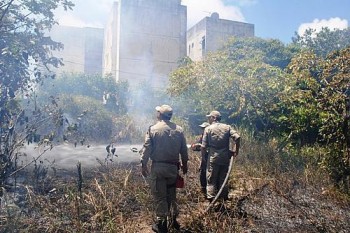 Bombeiros contiveram incêndio que se alastrou para vegetação