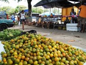 Feira da reforma agrária pretende comercializar 120 toneladas de alimentos