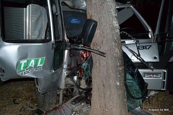 Choque com a árvore teria provocado a morte de um dos passageiros