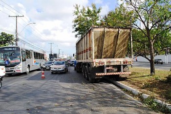 Bombeiros precisaram cortar galhos das árvores para desobstruir via