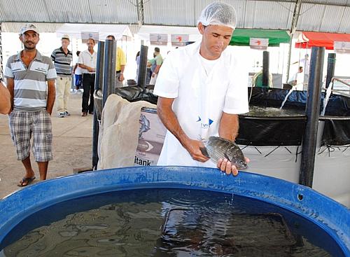 Peixes vivos atraem consumidores do Parque da Pecuária