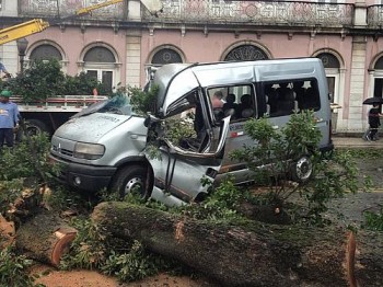 Uma árvore caiu em cima de uma van na Rua Marechal Floriano, no Centro da cidade, deixando uma pessoa ferida