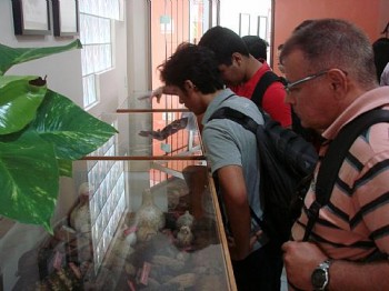 Mestrandos da Ufal visitam o Herbário MAC do IMA