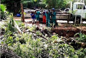 Sempma está reforçando a limpeza e manutenção do Parque.