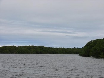 Coleta de amostras da fauna da laguna Manguaba