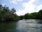 Laguna de Jequiá guarda a única reserva Extrativista de Alagoas