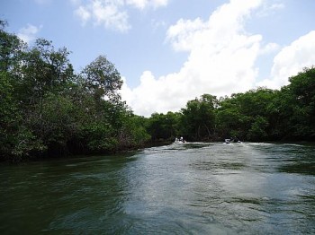 Laguna de Jequiá guarda a única reserva Extrativista de Alagoas