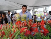 Flores serão comercializadas no Centro de Maceió