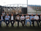 Estado de Alagoas é classificado oficialmente como zona livre da febre aftosa