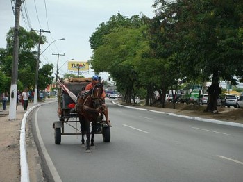 Secom Maceió