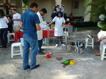 Dia de São Francisco de Assis