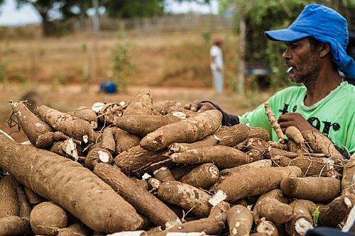 Produtores alagoanos vendem mais de R$ 5 milhões em serviços e produtos