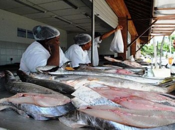 Peixes sendo vendidos na Orla de Maceió