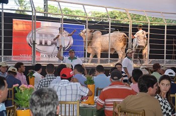 BCCOM Comunicação