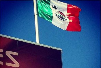 Bandeira do mexico com folha de maconha