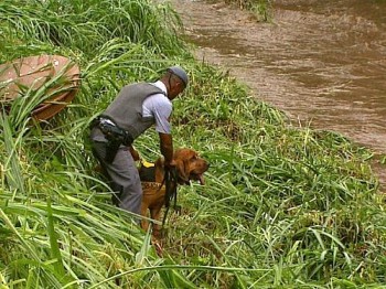 Cão fareja pistas que podem levar ao paradeiro do menino Joaquim