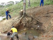 Projeto vai recuperar mais de cinquenta nascentes em três cidades do semiárido alagoano