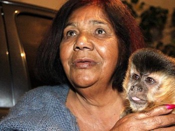 Macaco-prego Chico ficou separado de dona Elizete durante 16 dias