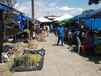 Feira da Reforma Agrária 2012