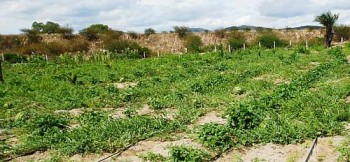 Sertanejos de Água Branca pescam nos barreiros às margens do Canal do Sertão