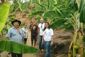 Produtores aprendem a elaborar fertilizante natural para cultivo