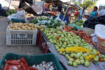 Alimentos produzidos pela agricultura familiar