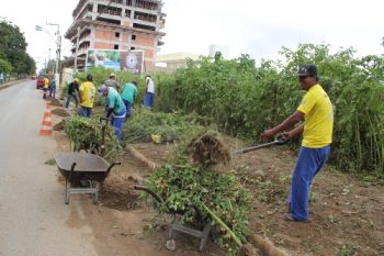 Ações de varrição e capinação são realizadas em Arapiraca