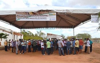 EMATER lança prêmio para incentivar a produção de grãos em AL