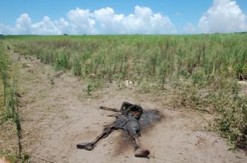 Corpo é achado em estado de putrefação em terras de fazenda