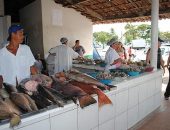 Busca pelo pescado se intensifica às vésperas da Semana Santa